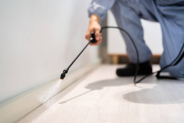 Licensed Cockroach Control service in Totowa, NJ - Nex Pest Control