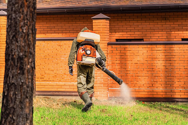 Trusted Cockroach Control service in Totowa, NJ - Nex Pest Control